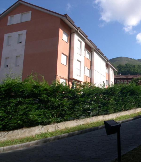 Apartamento En Contranquil Apartment Cangas de Onís Exterior photo